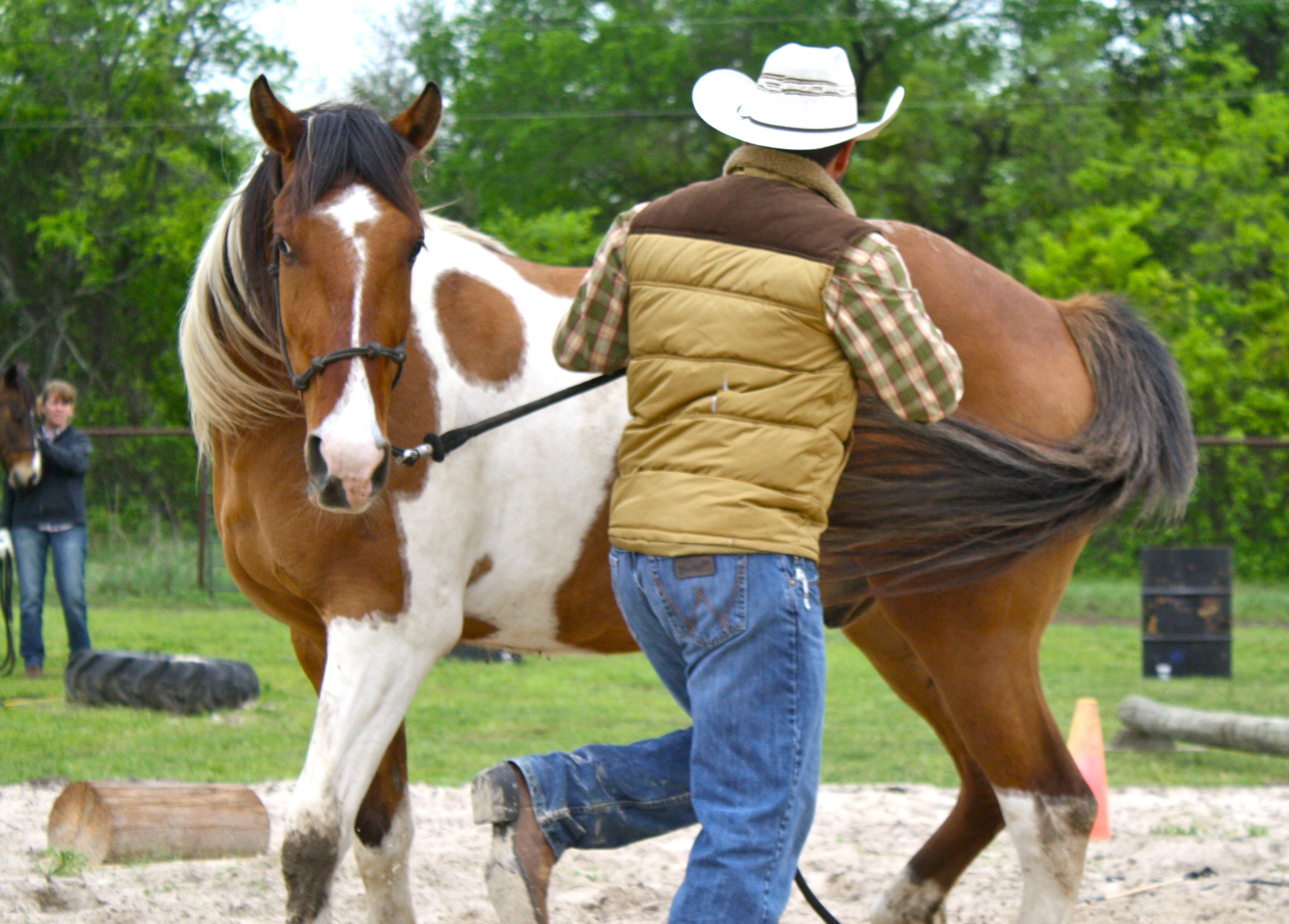 Cold Backed Horses North Texas Farm And Ranch