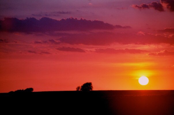 A beautiful North Texas sunset. (Photo courtesy of Steve Stevens)