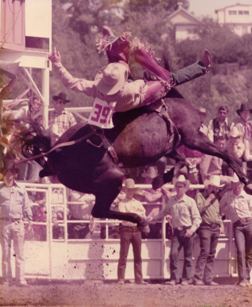 Riddle riding at Calgary in 1974 on Reg Kesler's Country Cousin. (Photo courtesy of Dollie Riddle) 