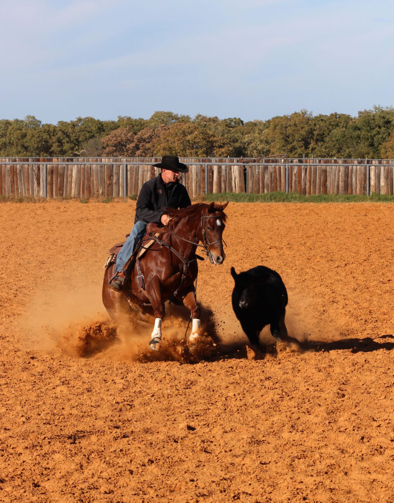 Hays practicing fence work on a four-year-old gelding named Hez The Cats Meow. (Photo by Jessica Crabtree)