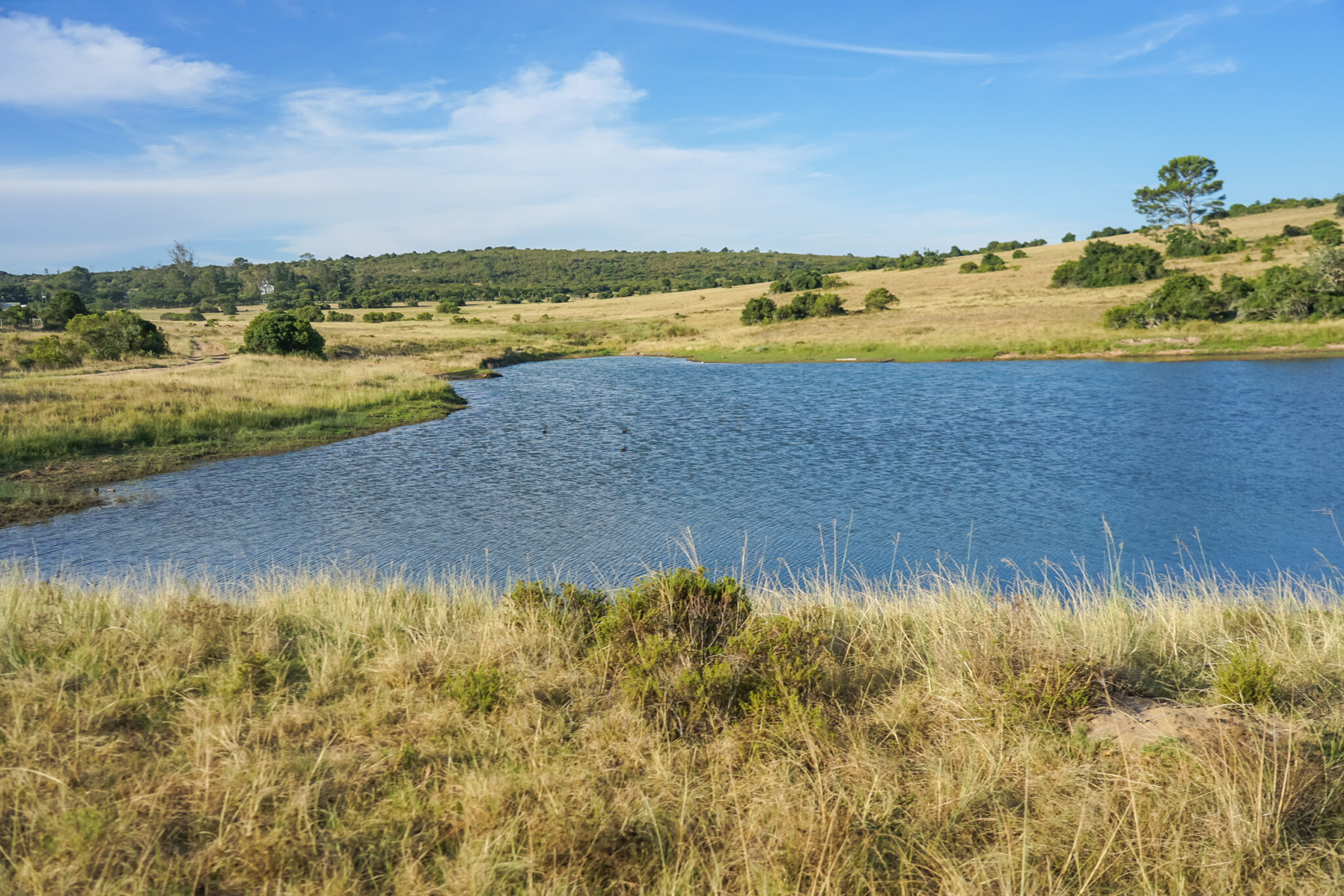 When the Pond Shrinks – North Texas Farm and Ranch